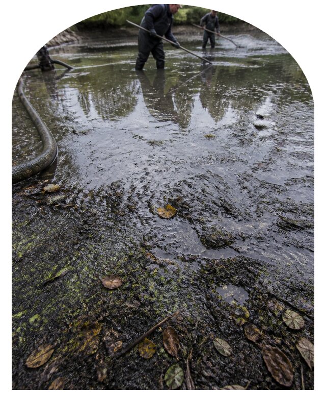 Очистка пруда в Минеральных Воде от ила мусора и водорослей с вывозом